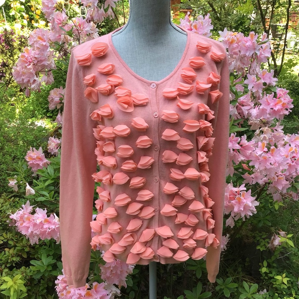 Adrienne Vittadini Studio Embellished Sweater
